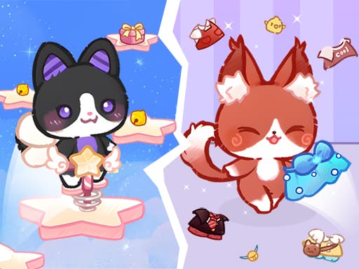Lovely Cat Pet Life